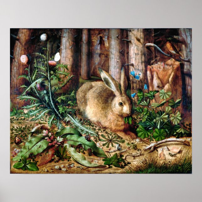 A Hare in the Forest Poster (Front)