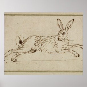 A Hare Running, With Ears Pricked (pen & ink on pa Poster