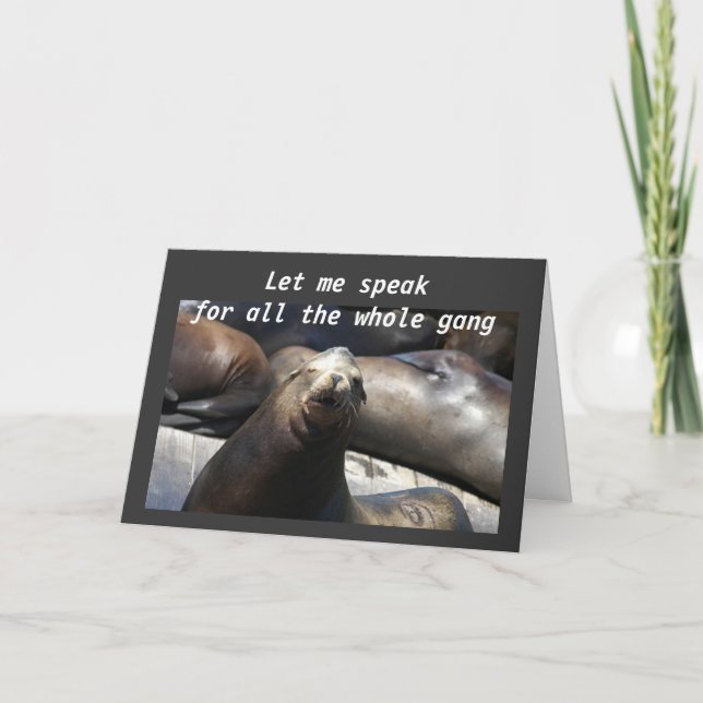 A HAREM OF SEALS FOR YOUR 40th Card (Front)