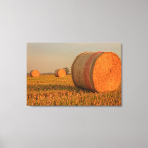 A Hay Cylindrical Bale on stretched canvas print