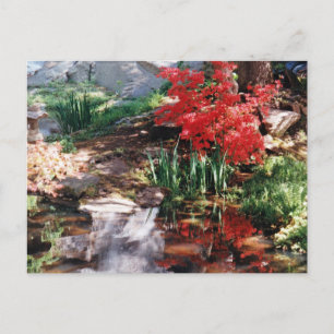 A Healing Place Postcard