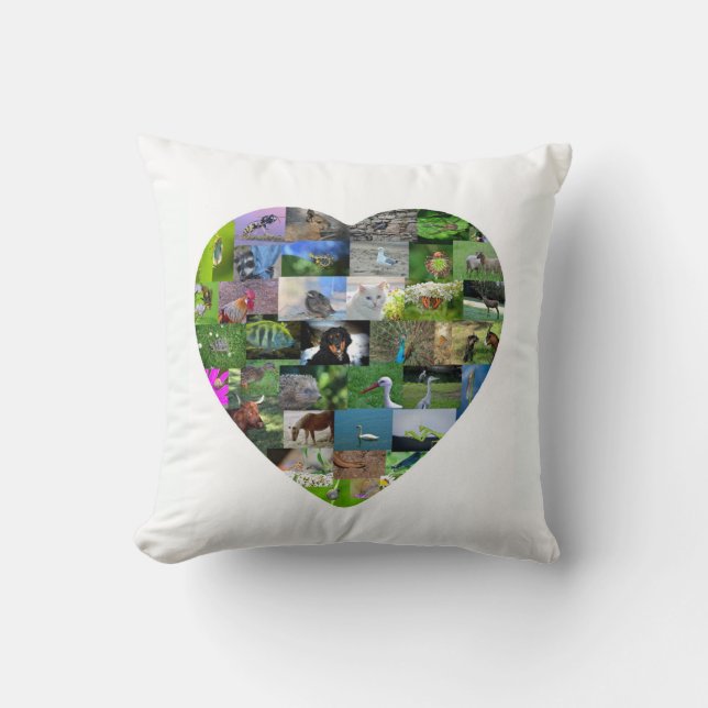 A heart for animals cushion (Front)