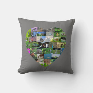 A heart for animals  -  in gray cushion