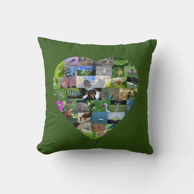 A heart for animals  -  in green cushion (Front)
