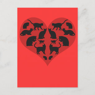 A Heart For Cats Postcard