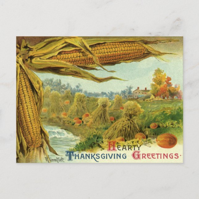 A Hearty Thanksgiving; Indian Corn and Haystacks Holiday Postcard (Front)