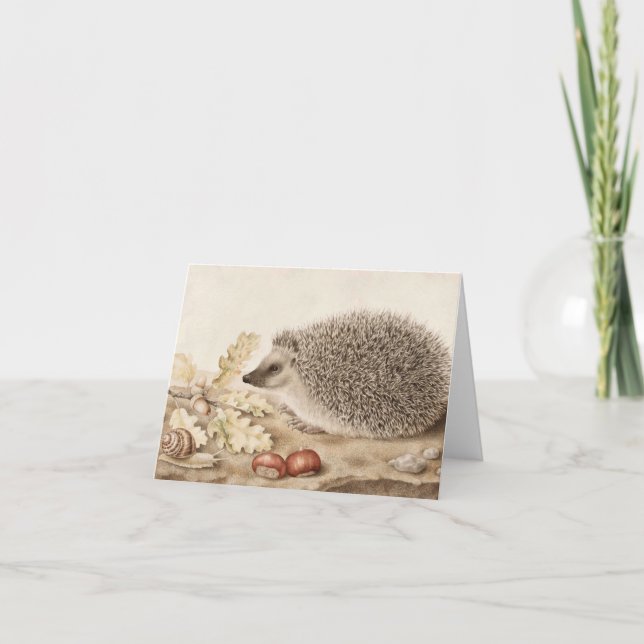 A Hedgehog in a Landscape by Giovanna Garzoni Thank You Card (Front)