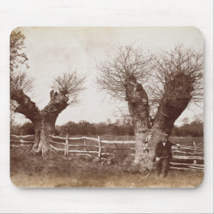 A Hedgerow Tree, 1852 (albumen print) Mouse Mat
