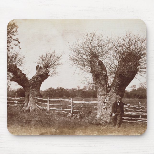 A Hedgerow Tree, 1852 (albumen print) Mouse Mat (Front)