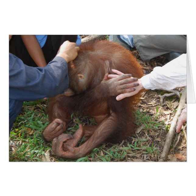 A Helping Hand for Orangutans (Front Horizontal)