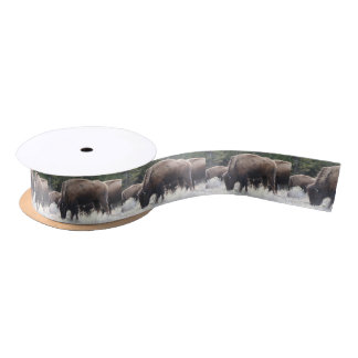 A Herd of Brown Bison Graze in a grassy Meadow Satin Ribbon