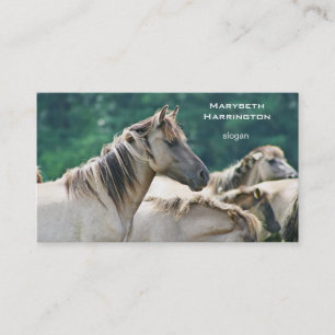 A herd of Brumby Horses from Australia Business Card
