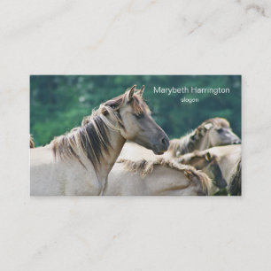 A herd of Brumby Horses from Australia Business Card