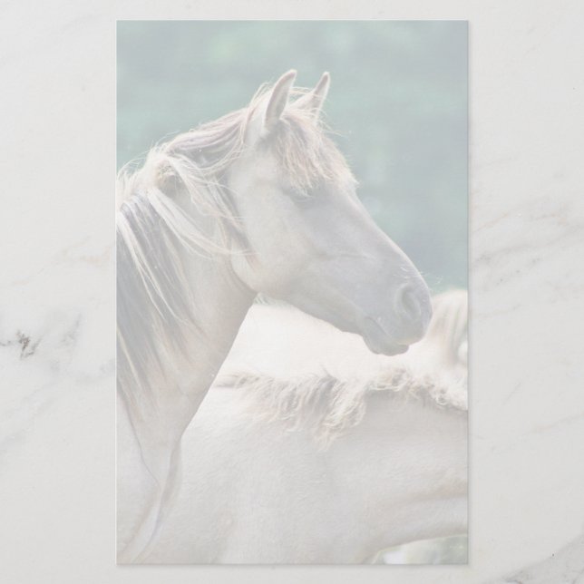 A herd of Brumby Horses from Australia Stationery (Front)