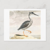 A Heron by Johan Teyler Vintage Bird Art