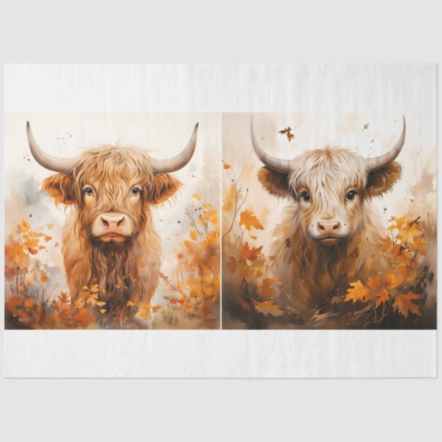 A Highland Cow Design Collection 2 Tissue Paper (Front)