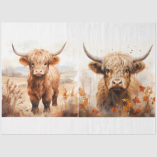 A Highland Cow Design Collection 5 Tissue Paper