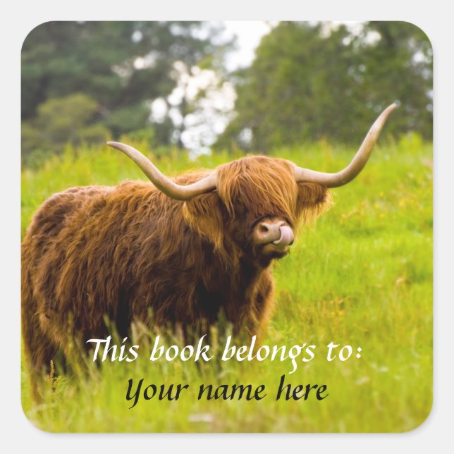 A Highland Cow "This book belongs to" Sticker (Front)