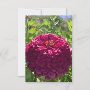 A Hint of Z "Dark Rosy Dreams" card