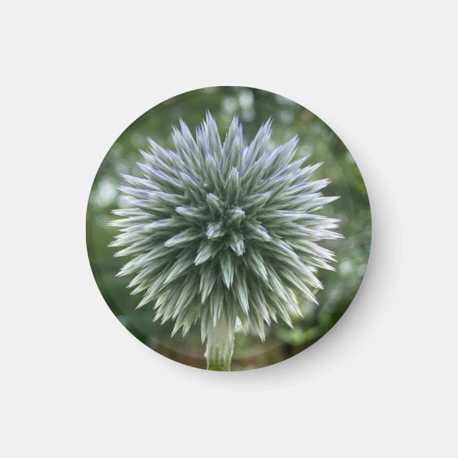A Hint of Z "Green Fireworks Floral" magnet (Front)