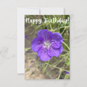 A Hint of Z "Purple Floral Happy Birthday" card