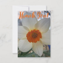 A Hint of Z "Thank You" card