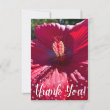 A Hint of Z "Thank You" card