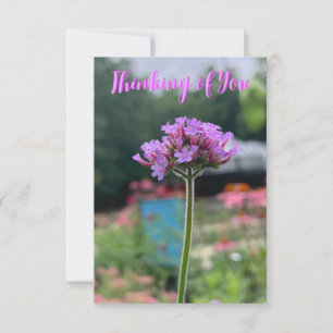 A Hint of Z "Thinking of you" card