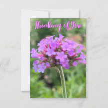 A Hint of Z "Thinking of You" close up card