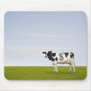 A Holstein Dairy cow with spots in the shape of Mouse Mat