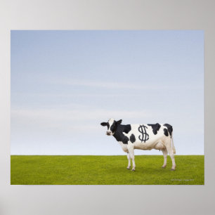 A Holstein Dairy cow with spots in the shape of Poster