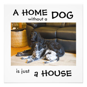 A home without a dog is just a house - wall art