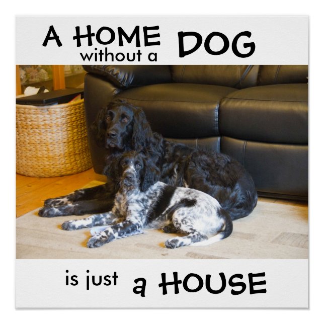 A home without a dog is just a house - wall art (Front)