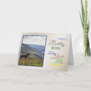 A horse birthday card for boss.