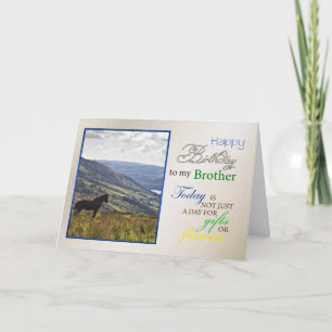 A horse birthday card for brother,