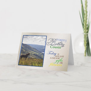 A horse birthday card for cousin.