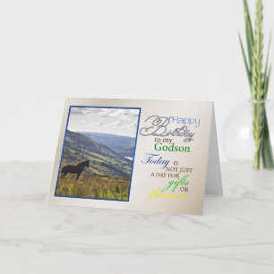 A horse birthday card for godson.