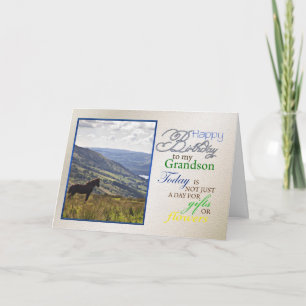 A horse birthday card for grandson.