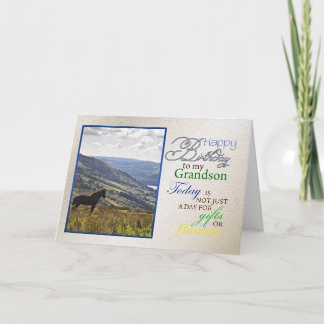 A horse birthday card for grandson. (Front)