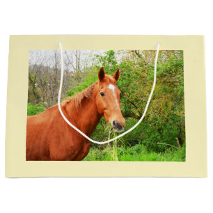 A horse called Orion Large Gift Bag