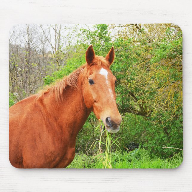 A horse called Orion Mouse Mat (Front)