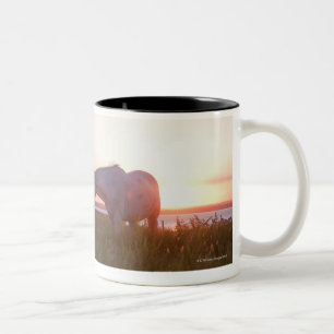 A horse in a field Two-Tone coffee mug