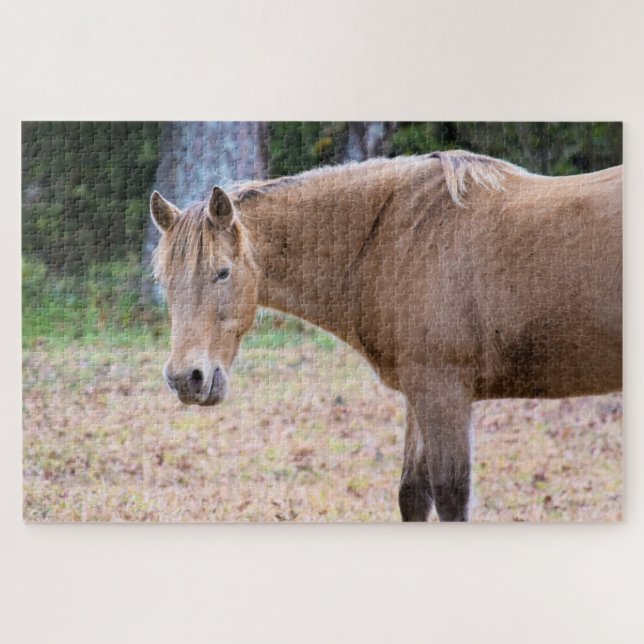 A Horse is a Horse of Course - 20x30 inch Jigsaw Puzzle (Horizontal)