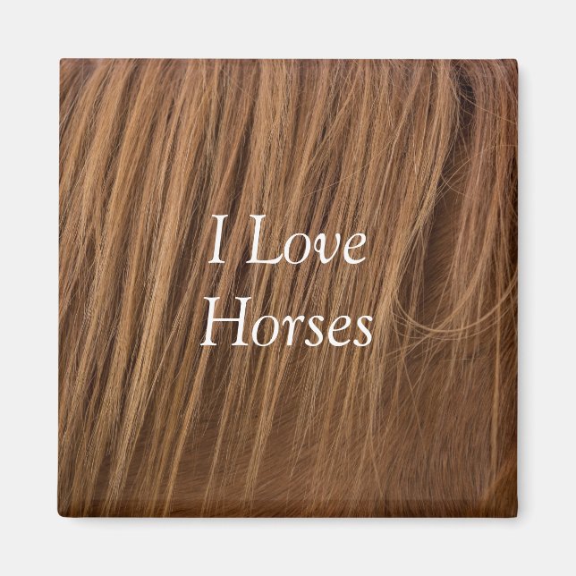 A Horse Mane I Love Horses Magnet (Front)