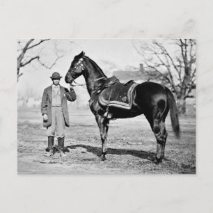A Horse Named Cincinnati, 1865 Postcard