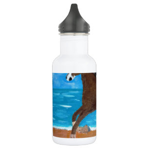 a Horse on the Beach 532 Ml Water Bottle