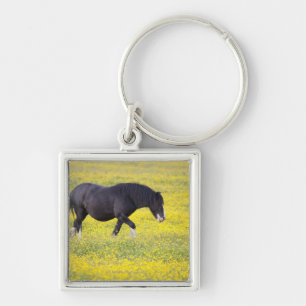 A Horse Walking In A Field Of Yellow Flowers Key Ring