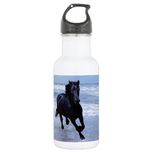 A horse wild and free 532 ml water bottle