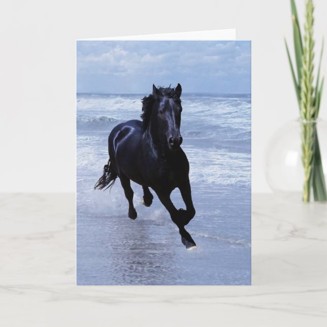 A horse wild and free card (Front)