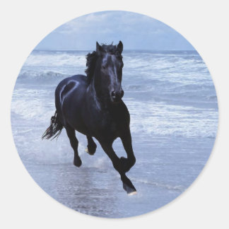 A horse wild and free classic round sticker